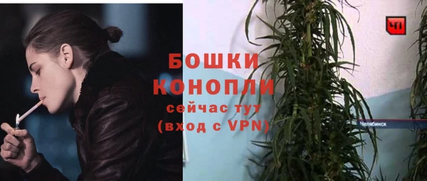 PSILOCYBIN Каменка
