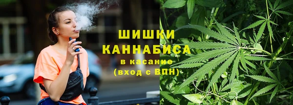 дурь Тайга