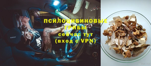 спайс Дмитров