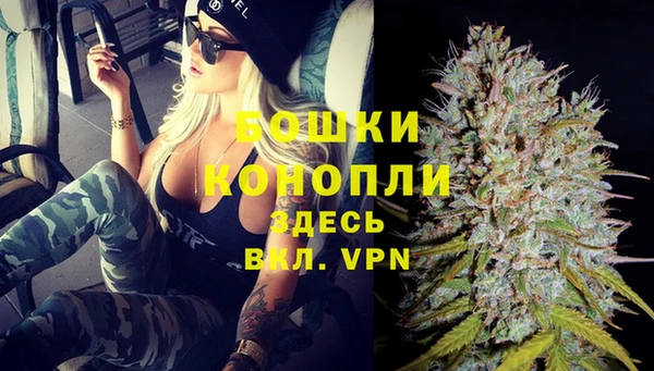 мдпв Снежинск
