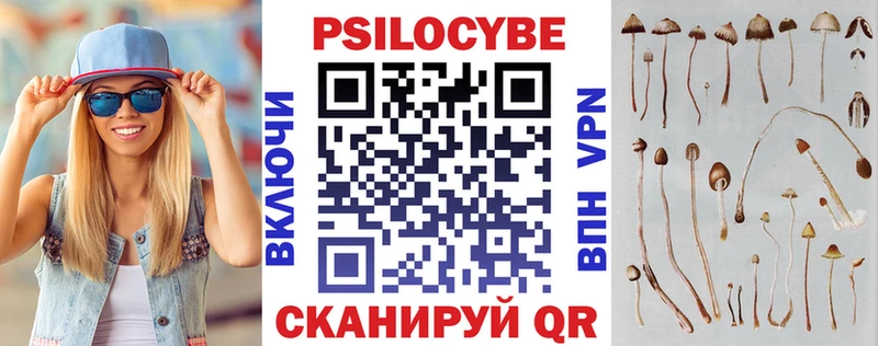 Галлюциногенные грибы Psilocybine cubensis  Черемхово 